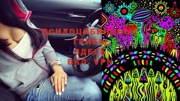 гидра Бородино