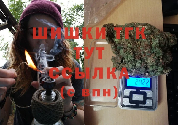 гидра Бородино