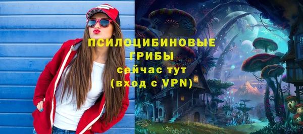 гидра Бородино