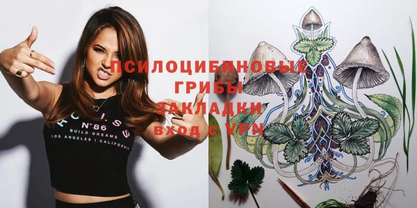 PSILOCYBIN Верхнеуральск