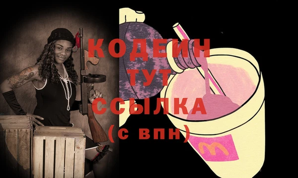 гидра Бородино