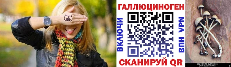 Псилоцибиновые грибы прущие грибы  где можно купить наркотик  Полесск 